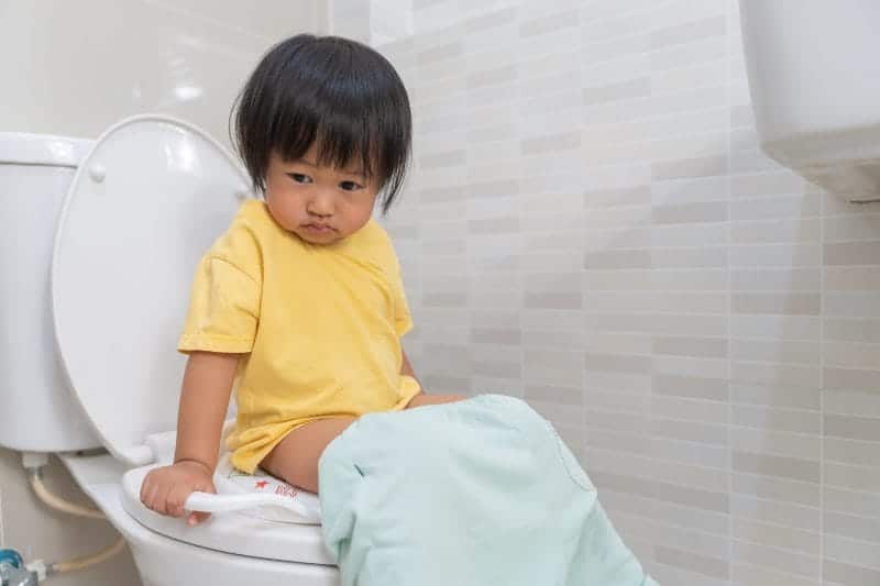 child going toilet constipation children dyspepsia abdominal pain crying defecating straining urinary incontinence blood stool bowel problems ulcerative colitis diarrhea